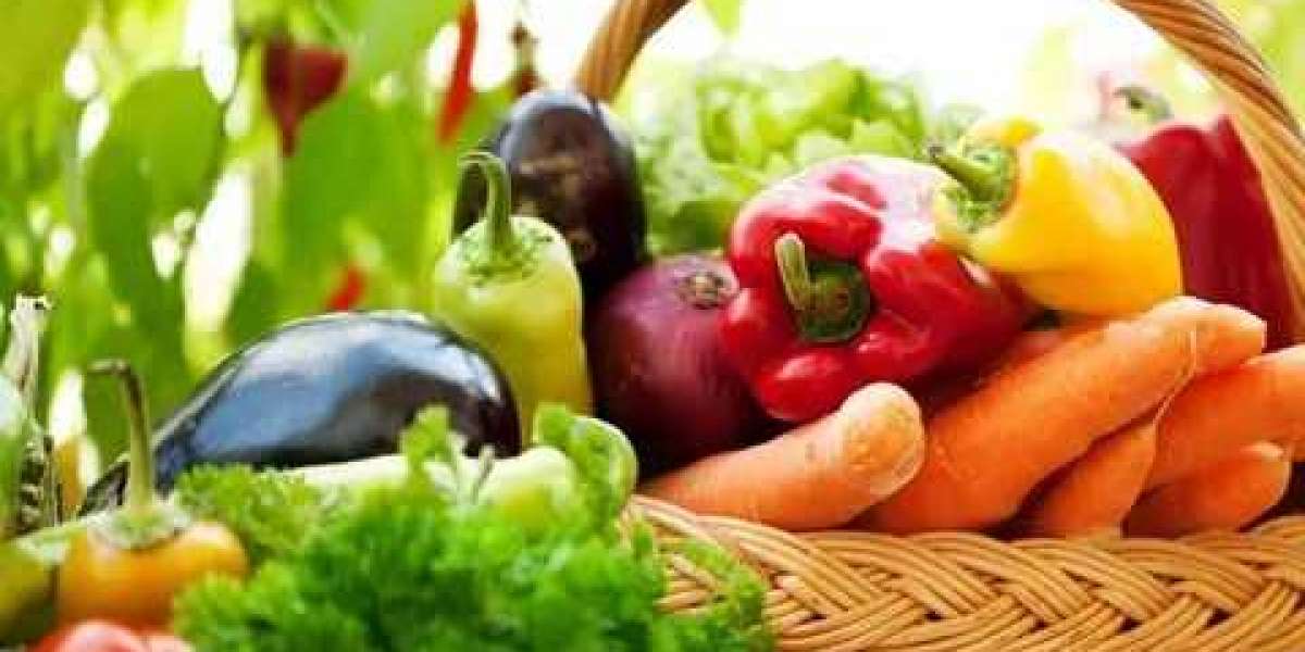 Organik Besinler Nelerdir Biyoloji? Organik BESLENME Nedir?