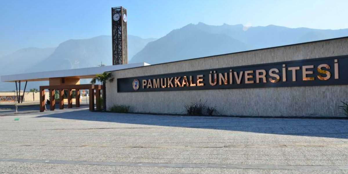 Hangi Bölümü Okuyacağımı Bilmiyorum? Hangi Bölümü Okumalıyım?