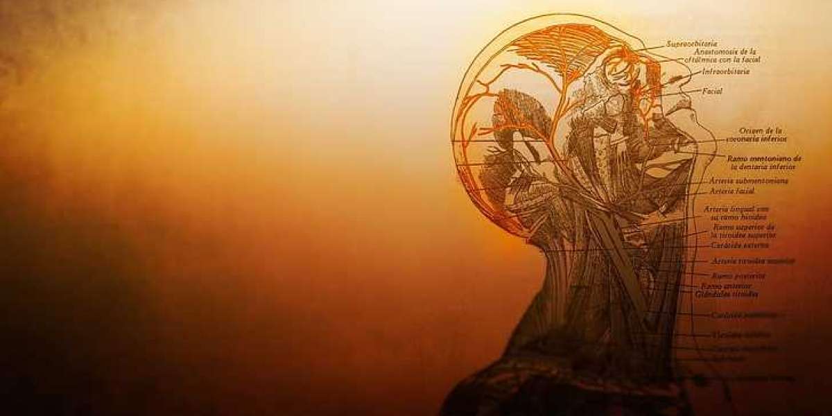 Sağlıkta En Kolay İş Bulan Meslekler? Doktor İş Bulma Olanakları?
