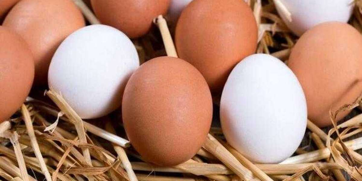 Yumurta Yemenin Faydaları Zararları Nelerdir Maddeler Halinde?