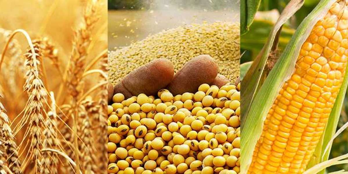 Az Suyla Yetişen Tarım Ürünleri? Susuz Yetişen Tarla Bitkileri?
