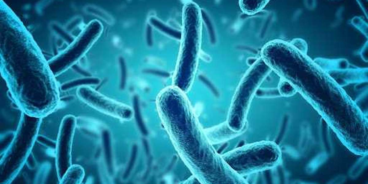 Biyoloji İle İlgili Meslekler? Moleküler Biyoloji ve Genetik Dalları?