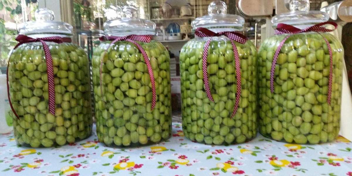 Zeytin Nasıl Saklanır? Yeşil Zeytin Nasıl Muhafaza Edilir?