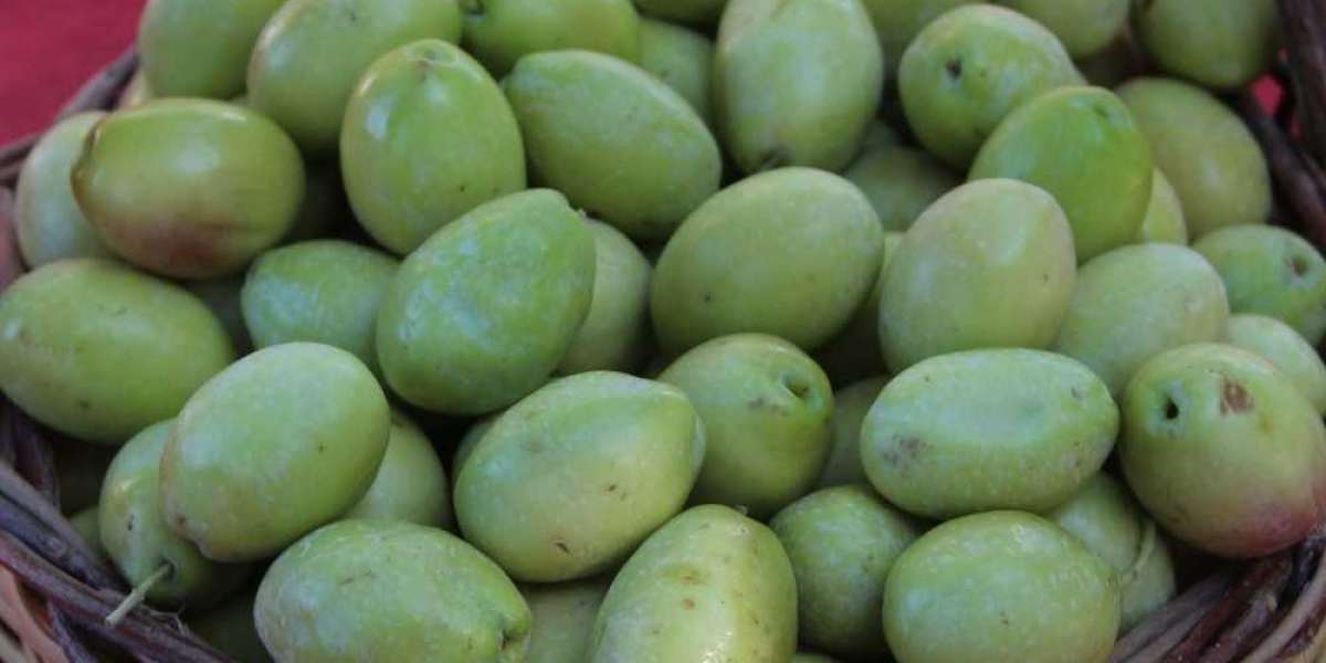 5 Kiloluk Yeşil Zeytin Nasıl Kurulur? Yeşil Zeytin Erimemesi İçin Ne Yapılır?
