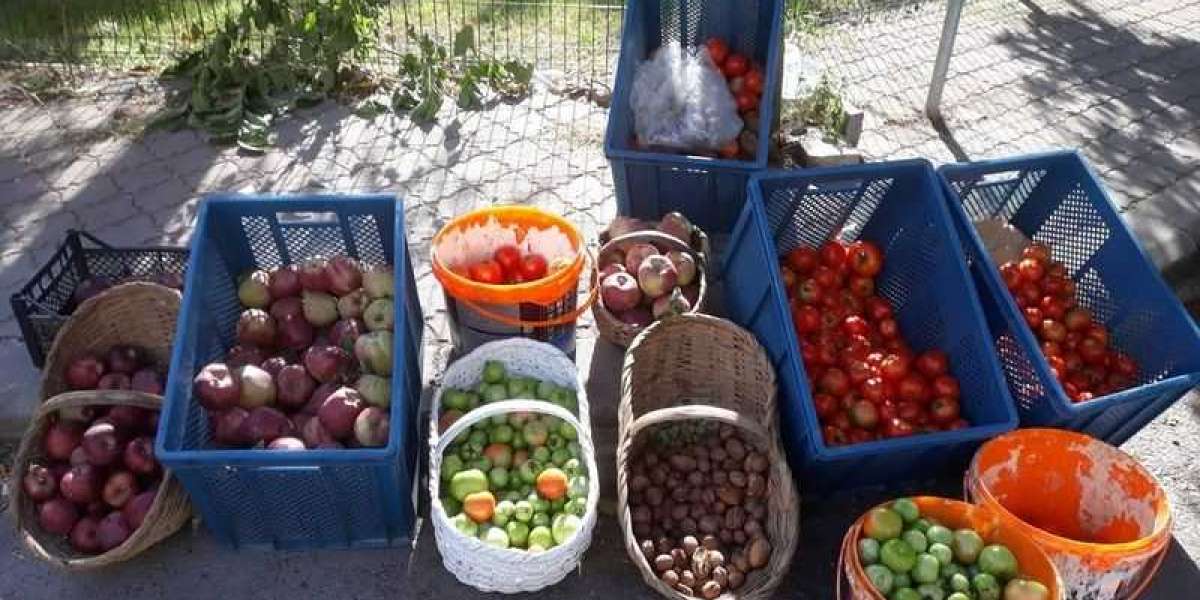 Yol Kenarında Ne Satabilirim? Seyyar Ne Satabilirim? Ne iş Yapılır?