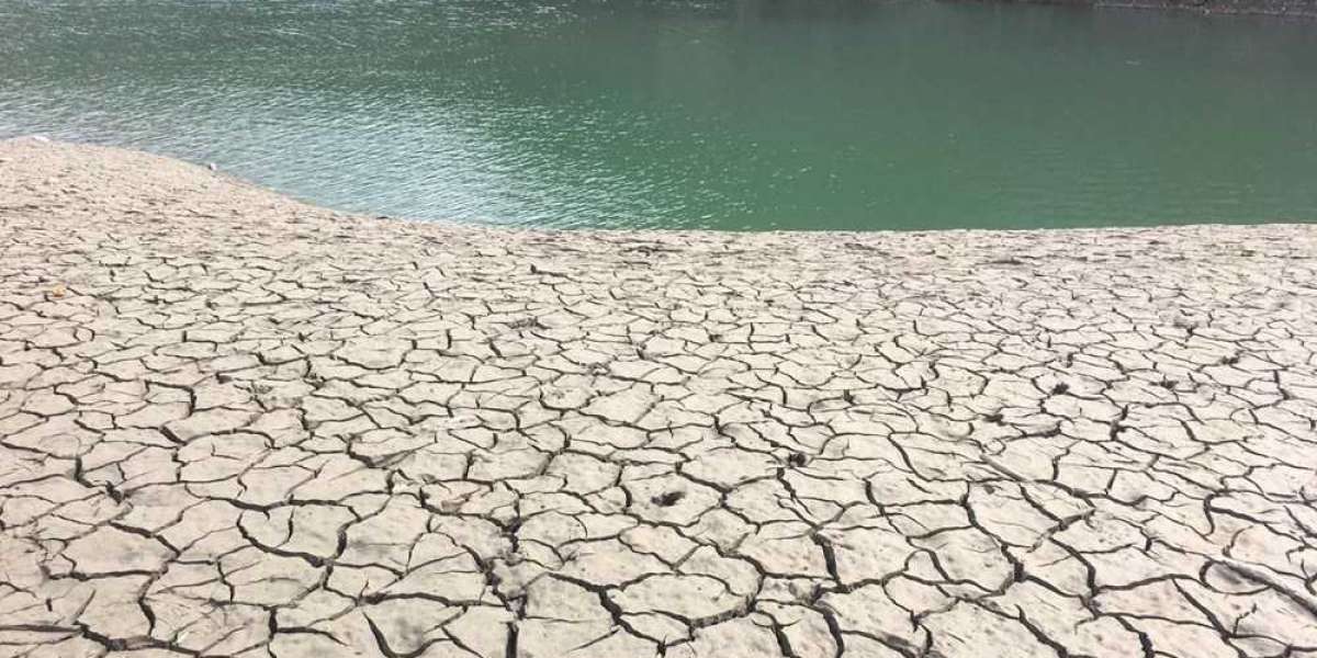 Kuraklık Neden Olur? Suların Çekilmesi Ne Demek? Kuraklığın Nedenleri?