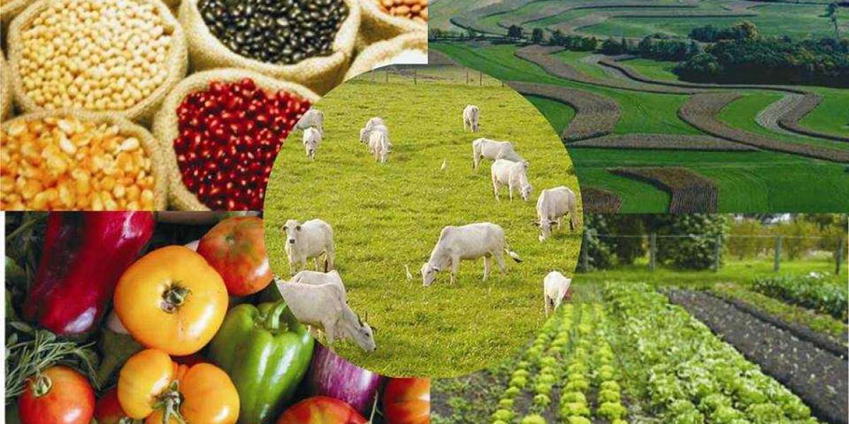 Köyde Nasıl Zengin Olunur? Köyde Nasıl İş Kurabilirim? Köyde Ne İs Yapılır?