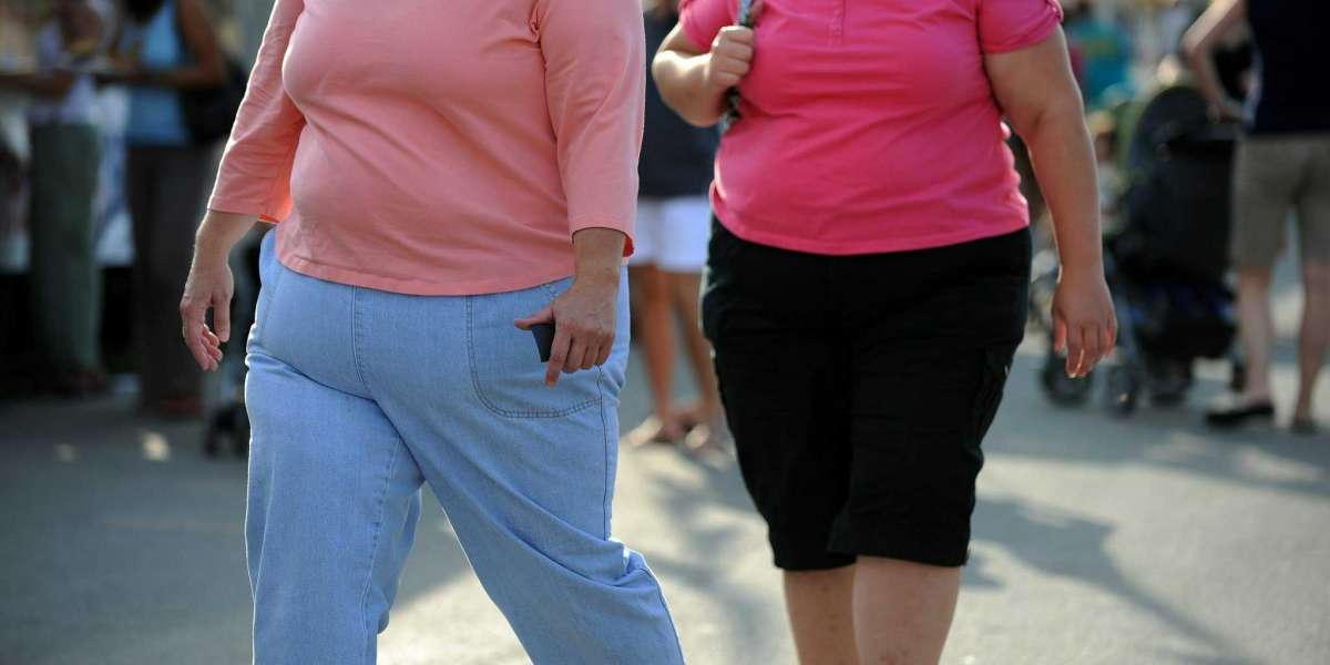 Obezitenin Nedenleri ve Olası Sonuçları? Obezite Nedenleri Nelerdir?