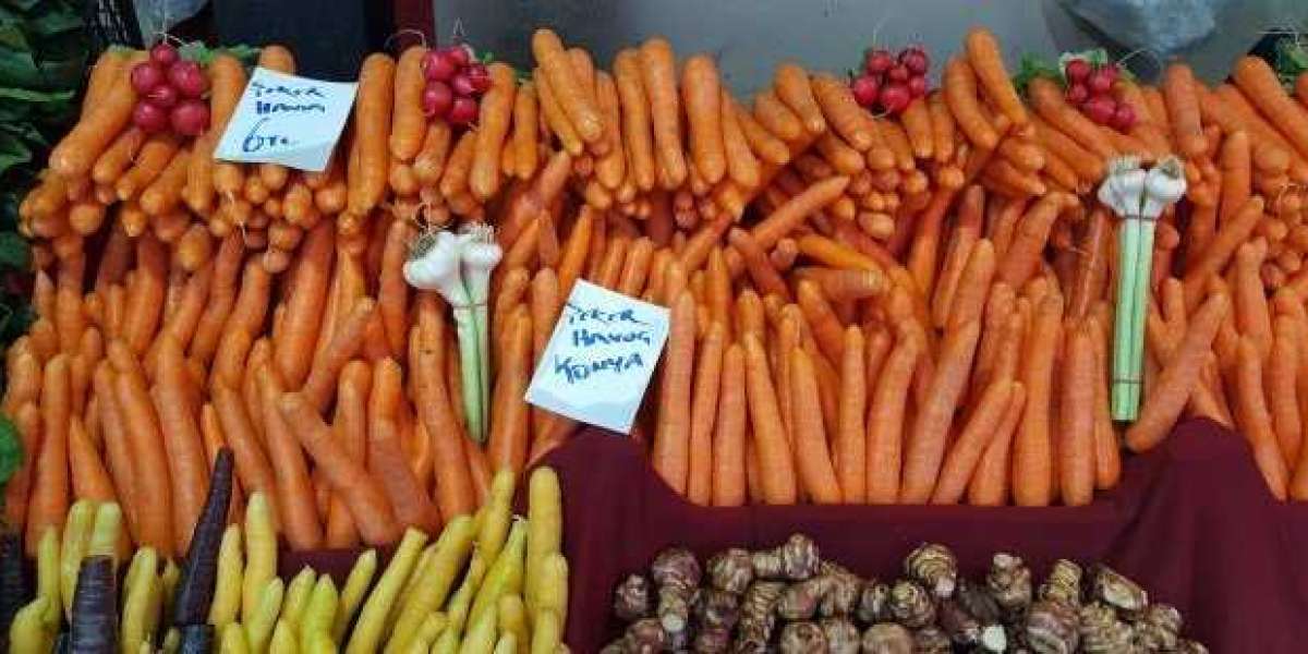 Havuç Yemenin Faydaları? Pişmiş Havuç Kilo Aldırır Mı?