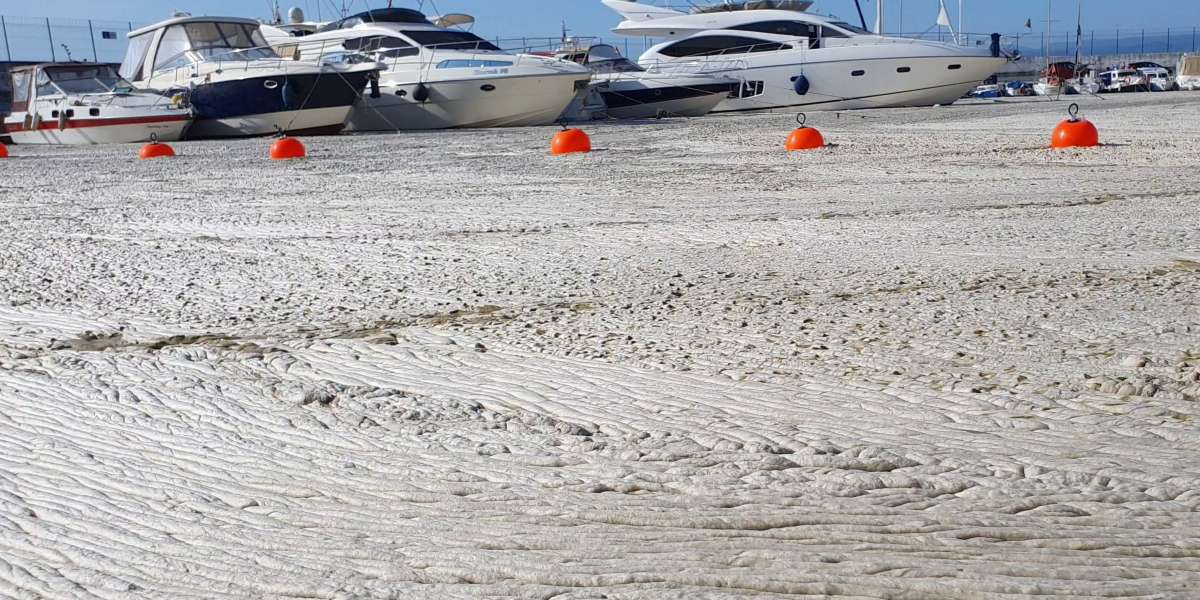 Deniz Salyası Nedir? Deniz Salyası Neden Olur? Müsilaj Nedir?