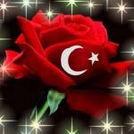 YASİN UĞURTAY