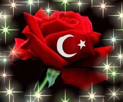 YASİN UĞURTAY