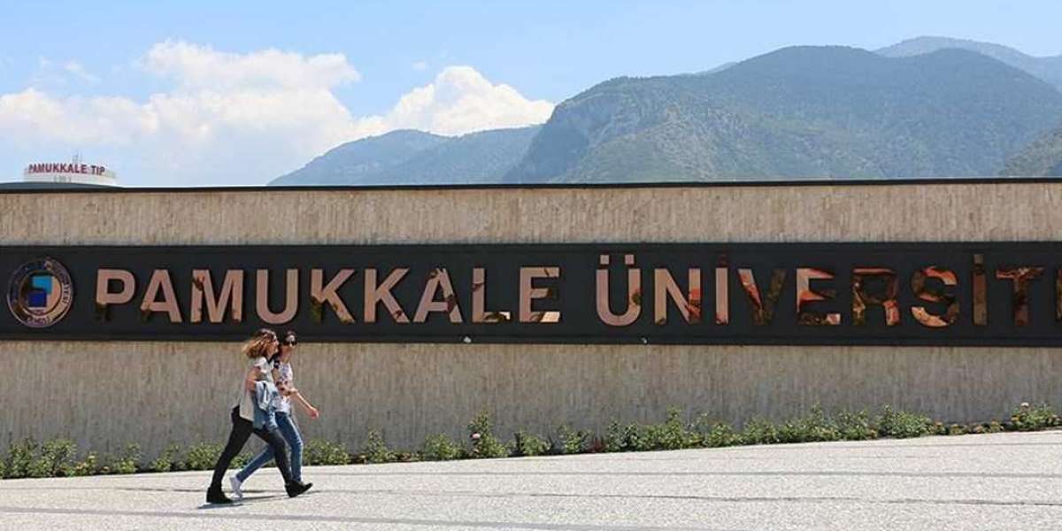 Hangi Bölümü Okursam İş Bulurum? Devlette İs İmkanı Olan Bölümler?