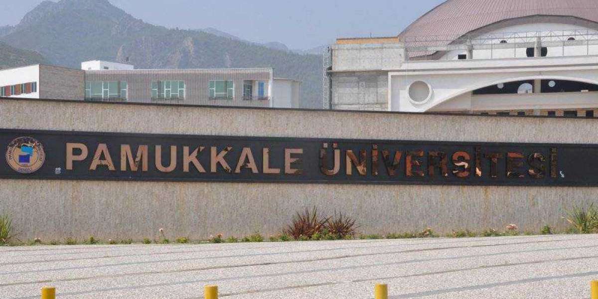 4 Yıllık Üniversite Kazanmak İçin Ne Yapmalıyım? Üniversite Kazanmak?