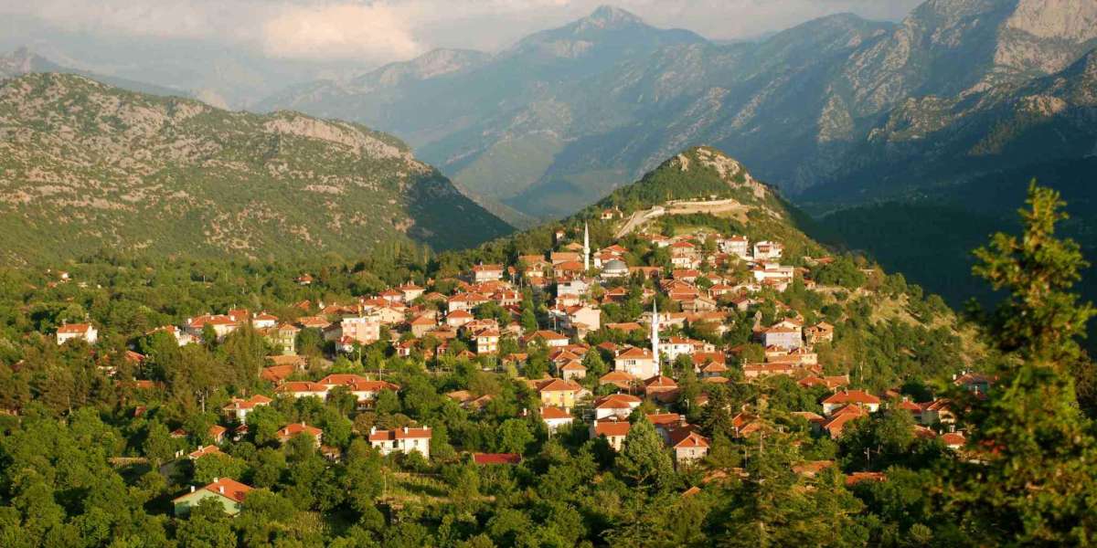 Ormanların Faydaları Nelerdir Maddeler Halinde? Ormanların Önemi?