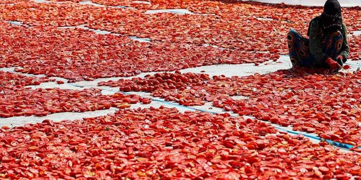 Domates Kuruturken Nelere Dikkat Edilmeli? Domates Kurutmanın Püf Noktaları?