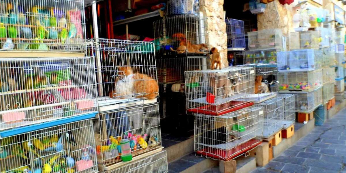 Erkekler İçin İş Fikirleri? Ticarette En Çok Para Kazandıran İşler?