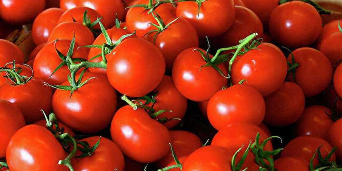 Domates Kaç Günde Kurur? Domates Hangi Ayda KURUTULUR?