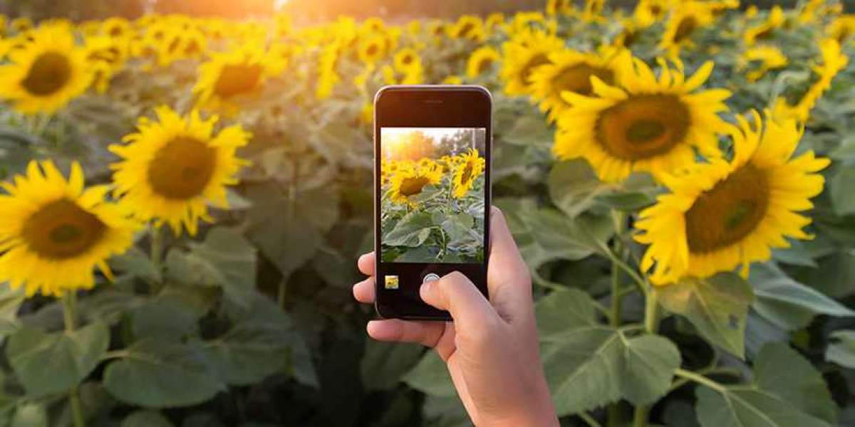 Doğru Fotoğraf Çekimleri Yapılırken Nelere Dikkat Edilir?
