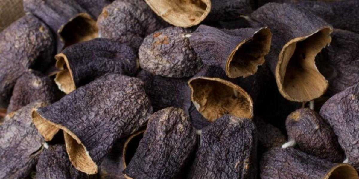 Patlıcan Hangi Ayda Kurutulur? Patlıcan Hangi Mevsimde Olur?