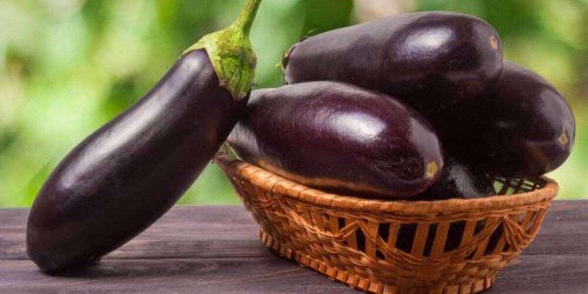 Hangi Patlıcan Kurutulur? Dolmalık Patlıcan Nasıl KURUTULUR?
