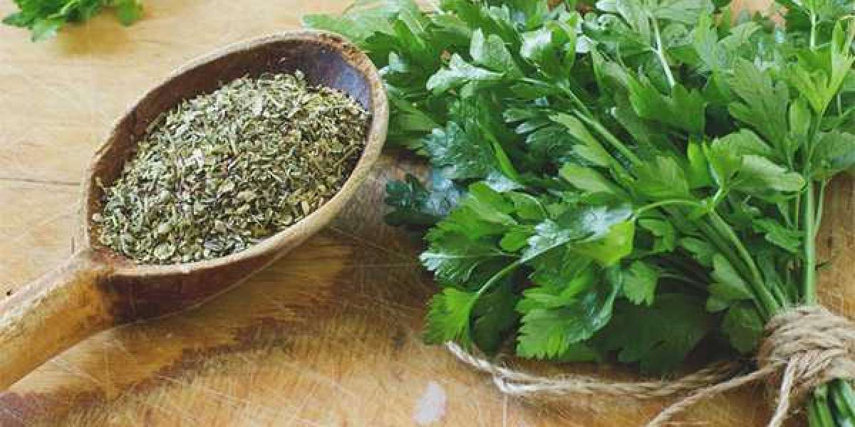 Maydanoz Güneşte Mi Kurutulur Yoksa Gölgede Mi? Maydanoz Tozu Nasıl Yapılır?