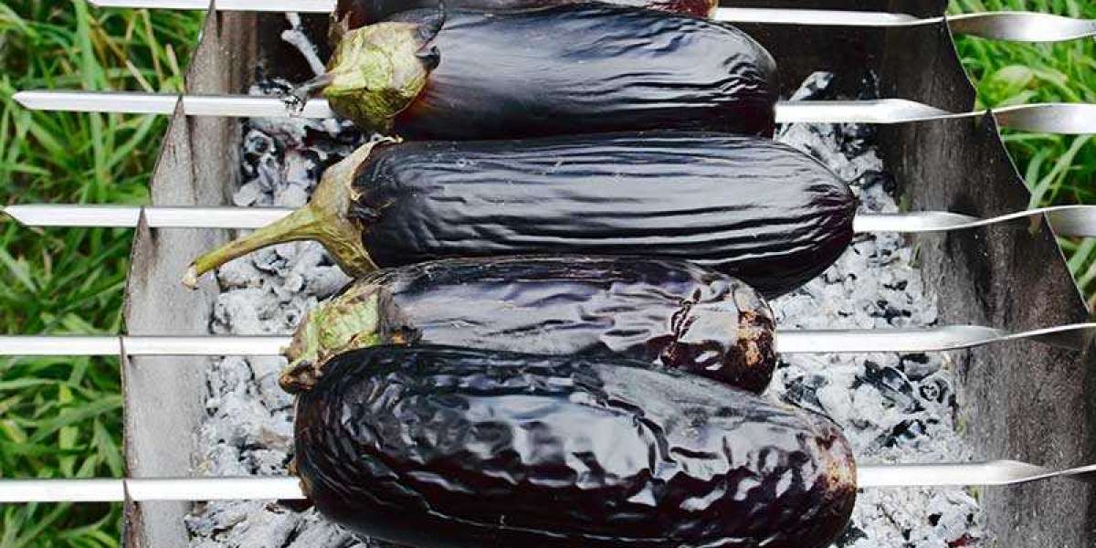 Hangi Patlıcan Közlenir? Mangalda patlıcan Közleme?
