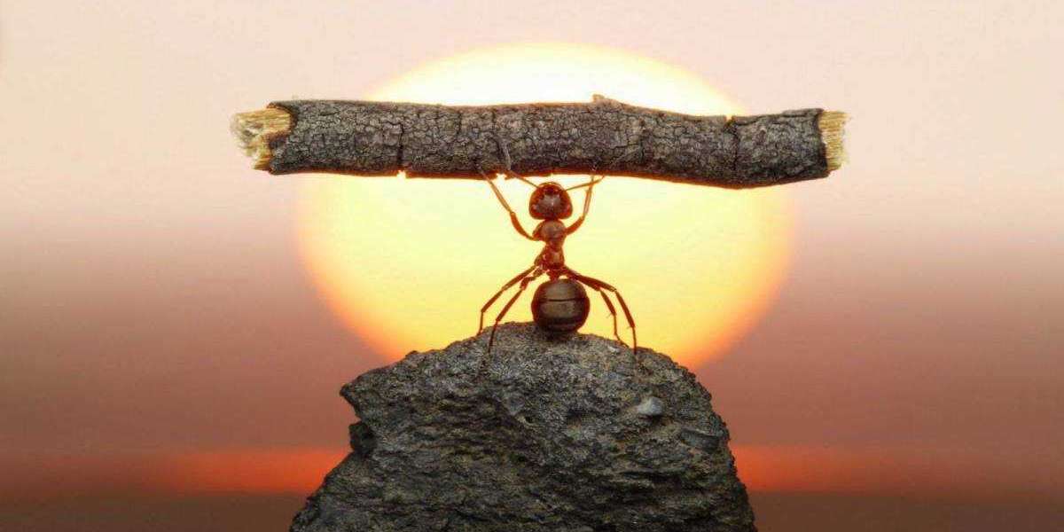 Motivasyon Neden Önemlidir? Başarı Odaklı Motivasyon Nedir?