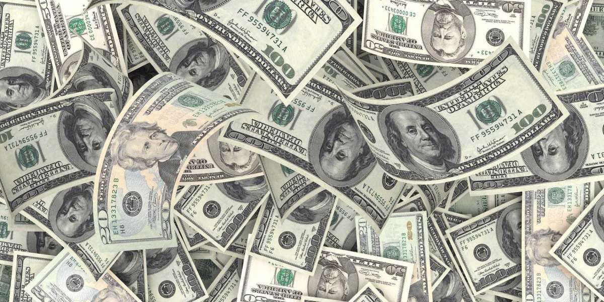 Kaç Çeşit Dolar Var? Dünyada Para Birimi Dolar Olan Ülkeler?