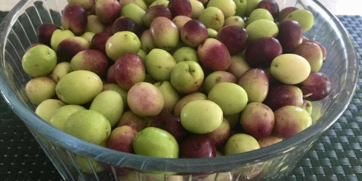 Yeşil Zeytin Erimemesi İçin Ne Yapılır? Erimeyen Yeşil Zeytin Nasıl Kurulur?