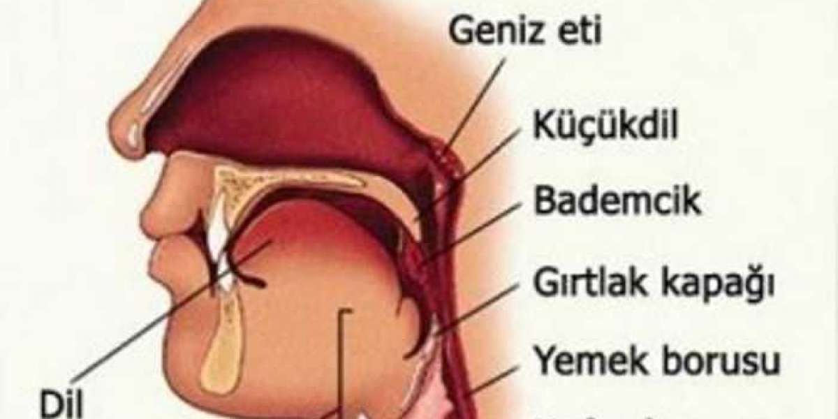 Geniz Akıntısından Nasıl Kurtulunur? Geniz Akıntısından Nasıl Kurtuldum?