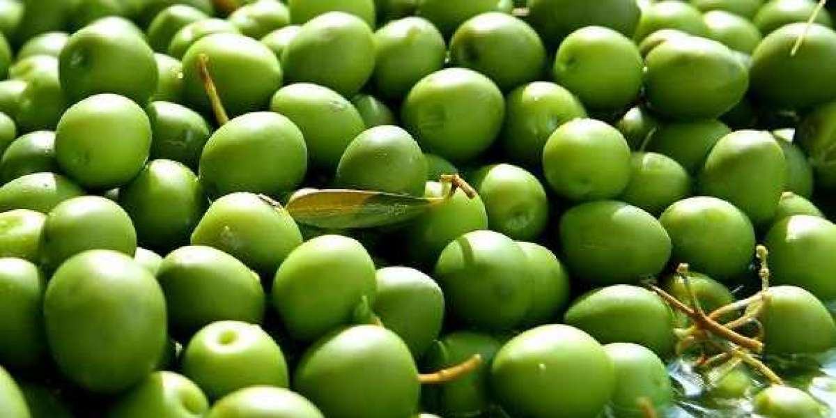 Çizmeden Kırmadan Yeşil Zeytin Nasıl Yapılır? Çizmeden Kırmadan Zeytin Yapımı?