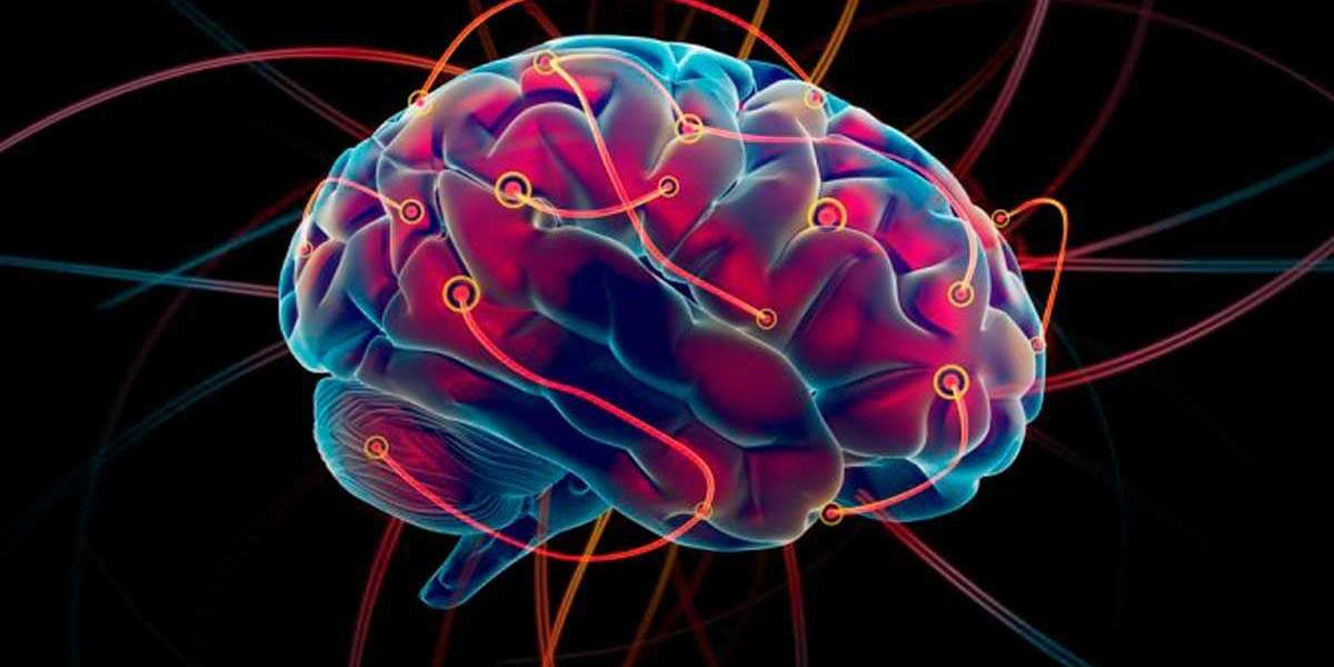 Huntington Hastalığı Tedavisi? Huntington Hastalığı Belirtileri?