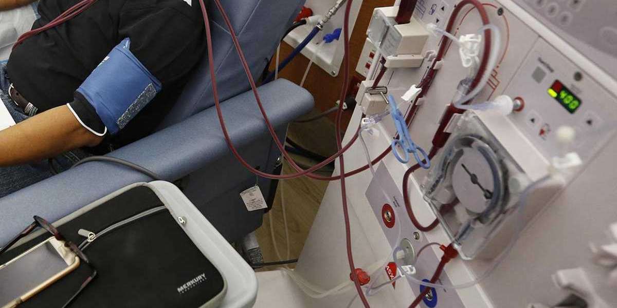 Böbrek Hastasına Hangi Doktor Bakar? Böbrek Taşı Hangi Bölüm Bakar?