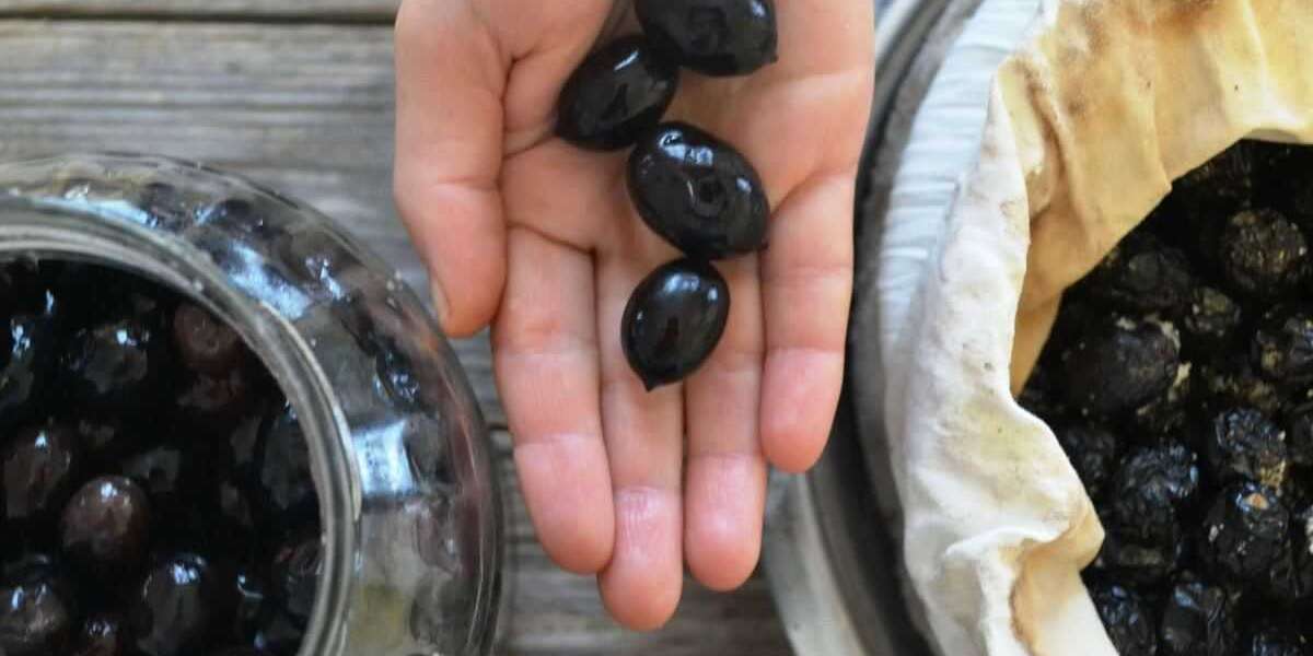 Ev Yapımı Siyah Zeytin Nasıl Saklanır? Siyah Zeytin Olduktan Sonra Ne Yapılır?