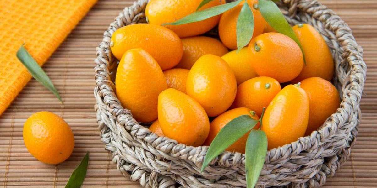 Kamkat Ne Zaman Meyve Verir? Saksıda Kamkat Ne Zaman Çiçek Açar?