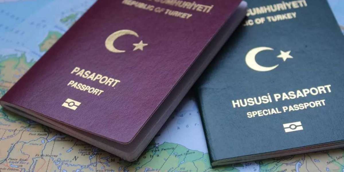 Kaç Çeşit Pasaport Var? Pasaport Renkleri ve Anlamları?