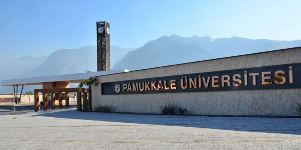 Hangi Üniversitede Okumalıyım Testi? Üniversitelerin Hangi Bölümleri İyi?