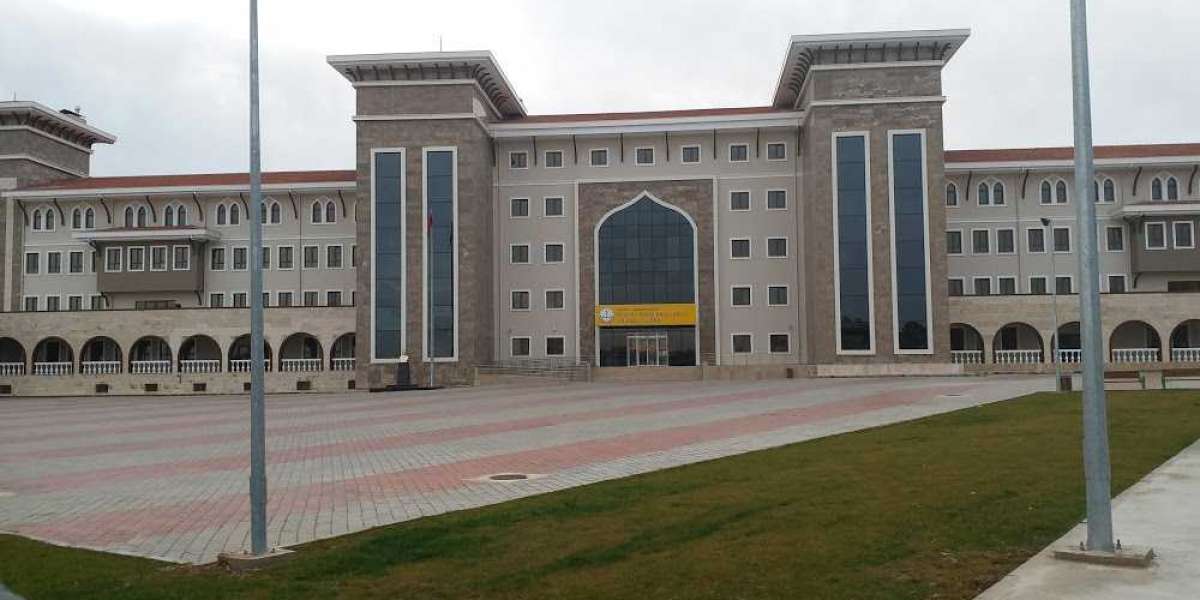 Hangi Liseyi Seçmeliyim? Hangi Liseyi Tercih Etmeliyim?