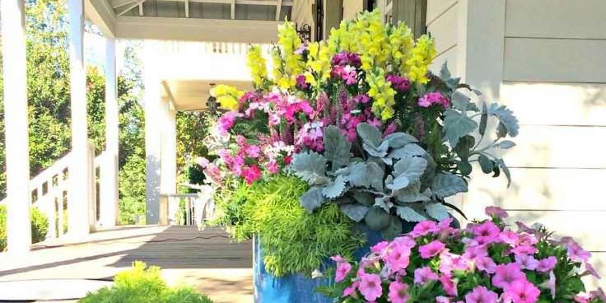 Saksıda Çiçek Nasıl Yetiştirilir? Saksı Çiçekleri Bakımı Nasıl Yapılır?