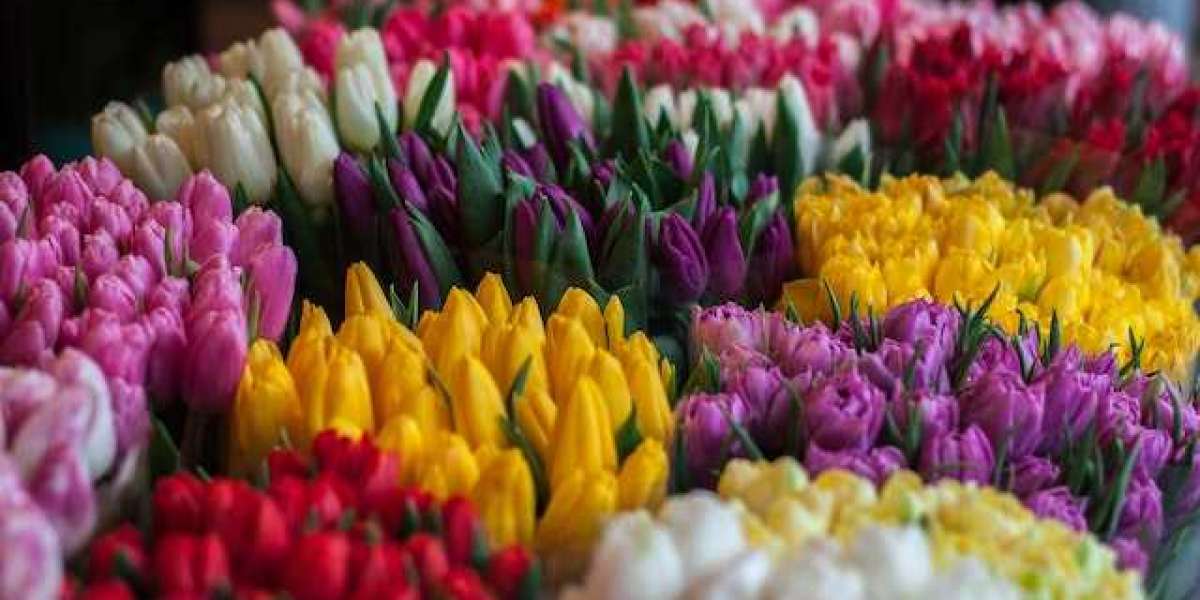 Çiçek Bakımı Nasıl Olur? Evde Çiçek Bakımı Nasıl Olur?