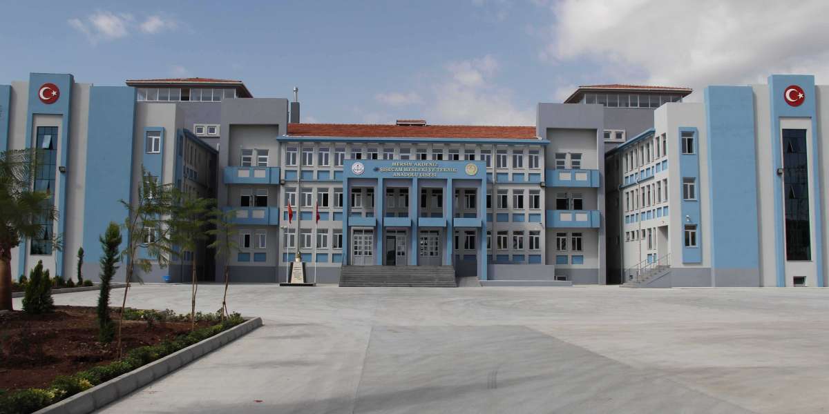 Lisede Hangi Bölümü Seçmeliyim? Hangi Alanı Seçmeliyim Testi?