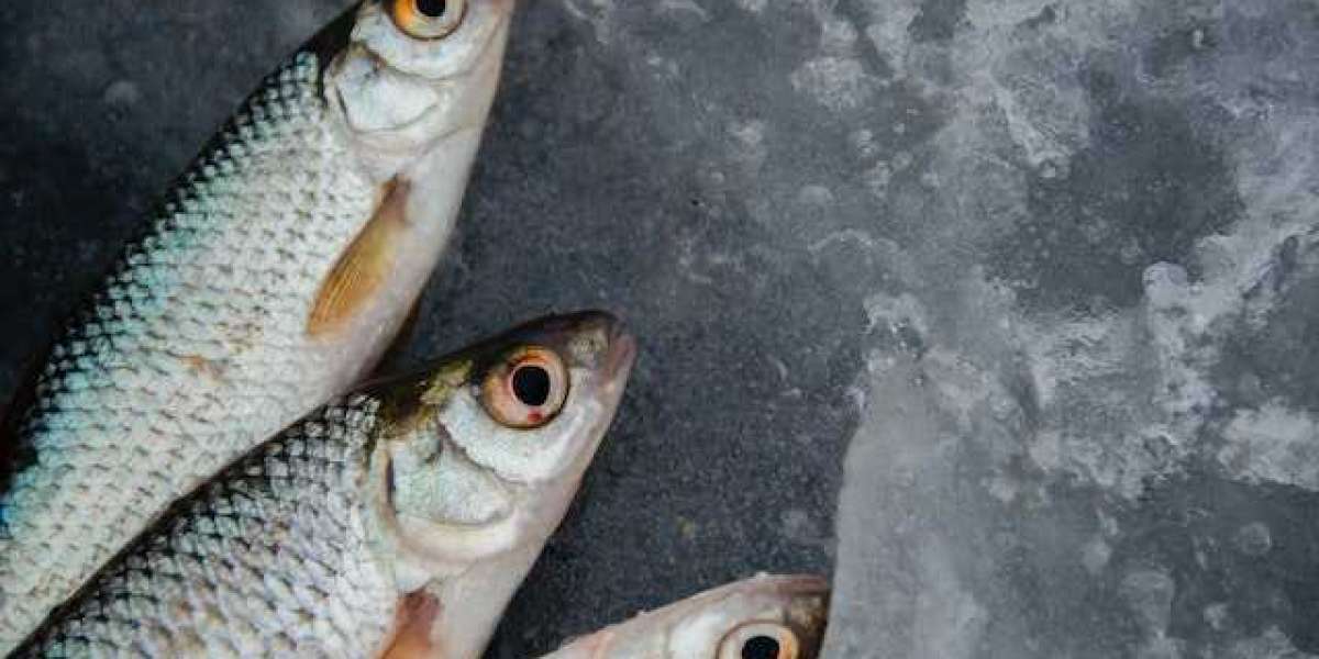 1 Kilo Hamsi Temizlenince Kaç Kilo Kalır? Hamsi Temizlenince Ne Kadar Fire Verir?