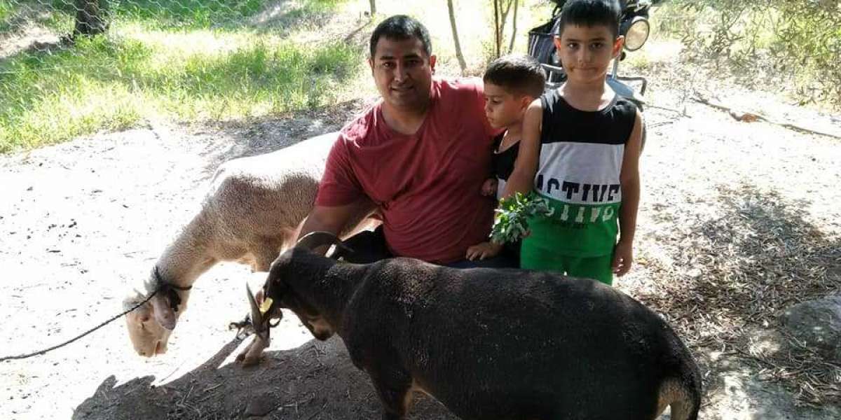 İyi Bir Kurbanlık Hayvan Nasıl Anlaşılır? Kurbanlık Hayvanlar ve Özellikleri?