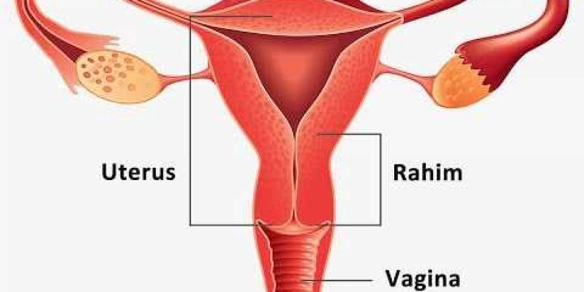 Vajinismus Nasıl Tedavi Edilir? Vajinismus Belirtileri Nelerdir?