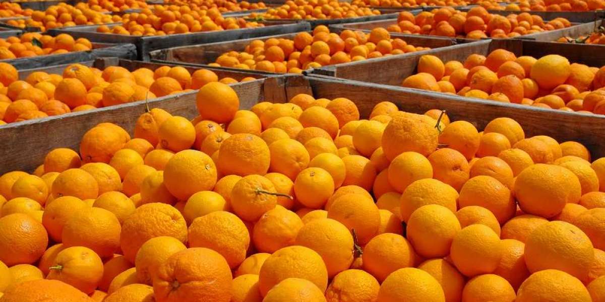 1 Kilo Portakal Kaç Adet? 1 Kilo Portakal Kaç Tane?