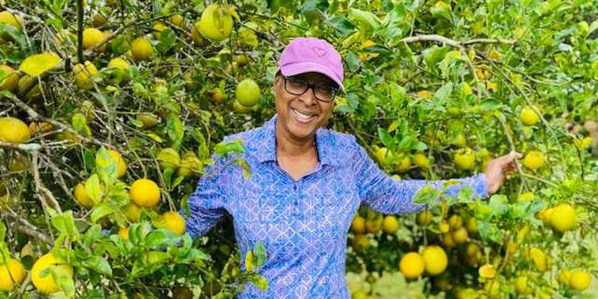 Limon Ağacı Ne Zaman Budanır? Saksı Limon Budama Zamanı?