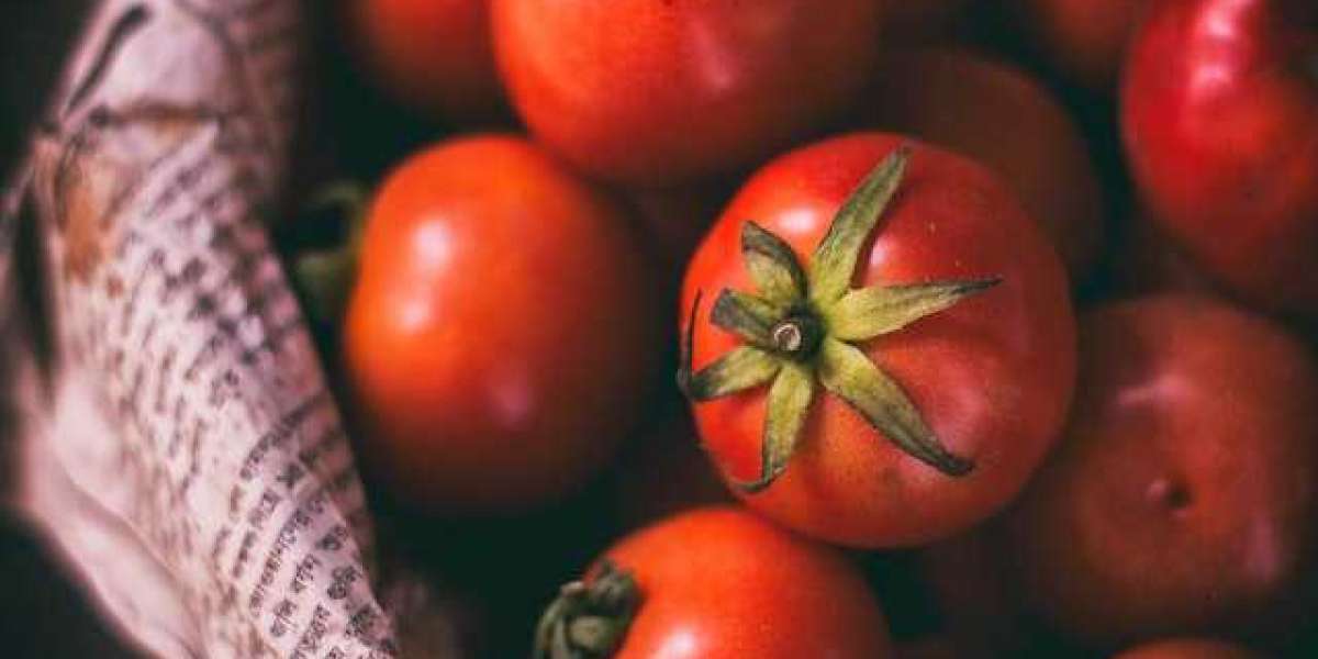 100 Kilo Domatesten Kaç Kilo Salça Çıkar? 5 Kiloluk Bidon Kaç Kilo Salça Alır?