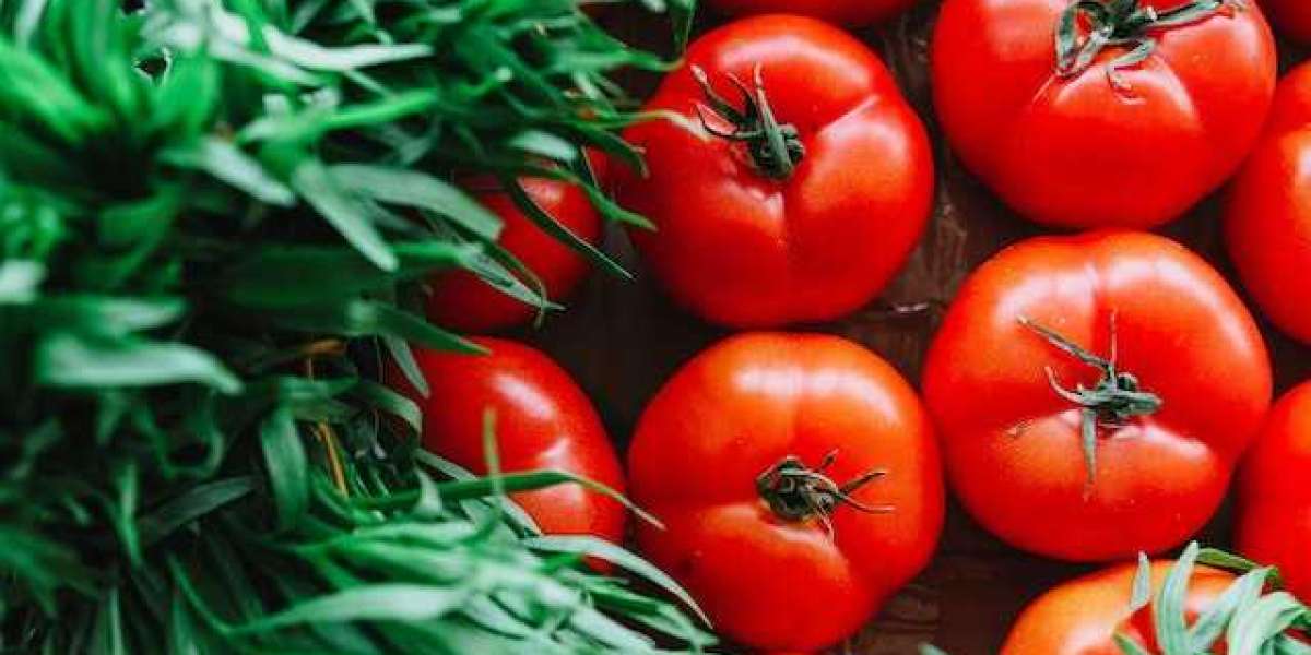 200 Kilo Domatesten Kaç Kilo Salça Çıkar? 1 Kasa Domates Kaç TL?