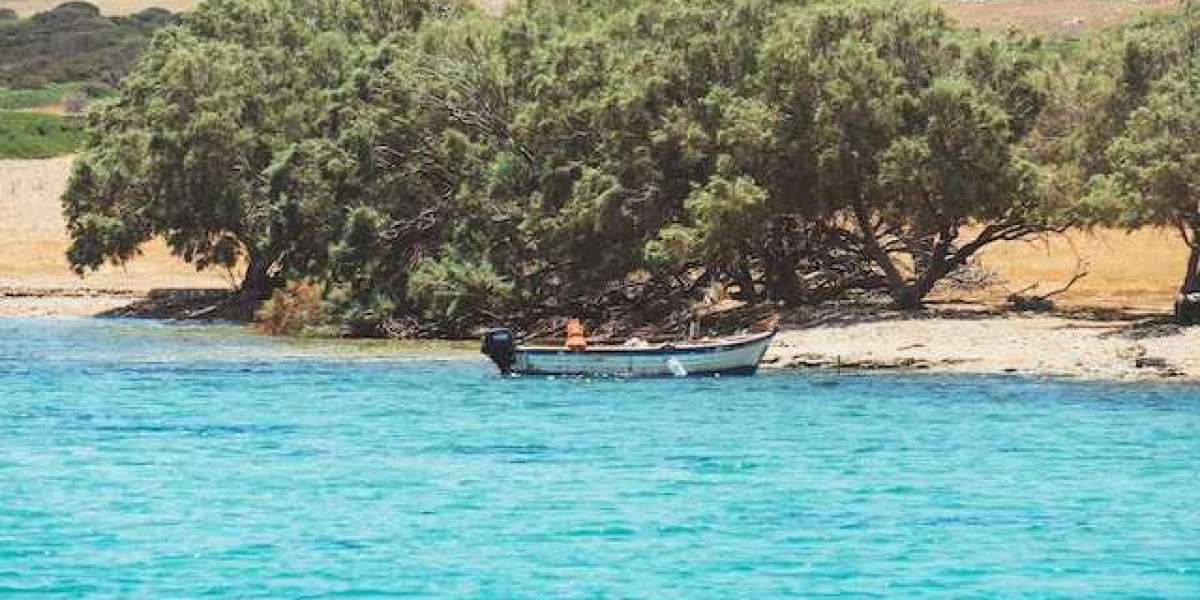 Zeytin Ağacı Ne Zaman İlaçlanır? Zeytin Kurt İlacı Ne Zaman Atılır?